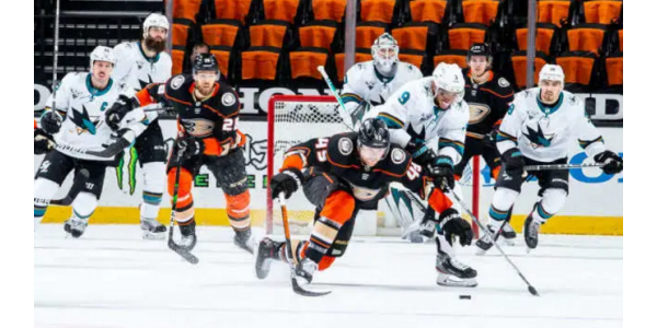 Les requins 6-0 ont abattu des canetons pour remporter le Derby de Californie