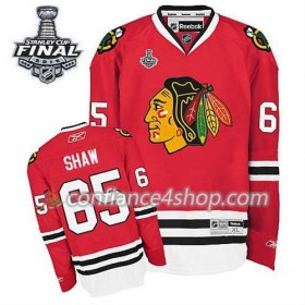 Maillot de Hockey Chicago Blackhawks Andrew Shaw #65 Domicile rouge 2015 Stanley Cup - Enfant
