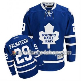 Reebok Maillot de Hockey Toronto Maple Leafs Mike Palmateer #29 Domicile Bleu royal - Homme