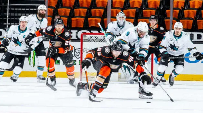 Les requins 6-0 ont abattu des canetons pour remporter le Derby de Californie